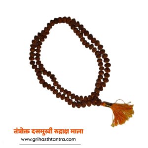 10 mukhi rudraksha mala