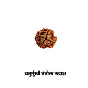 4 mukhi rudraksha