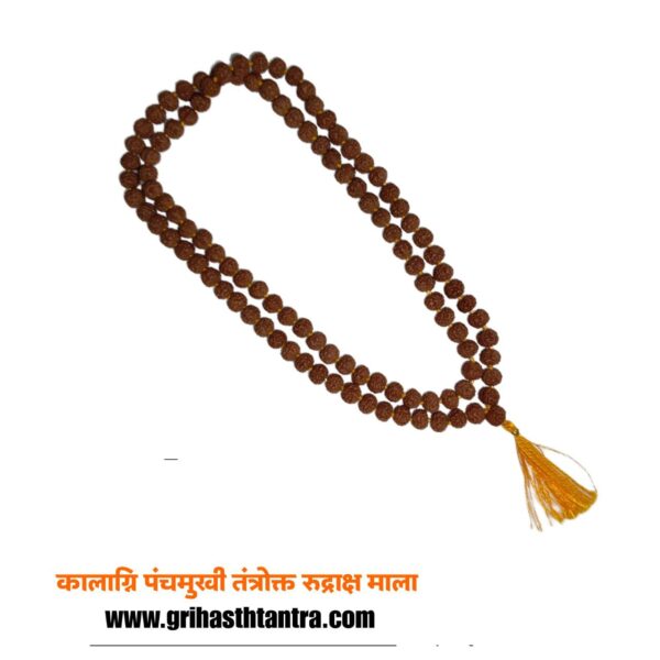 5 mukhi rudraksha mala