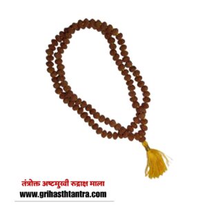 8 mukhi rudraksha mala