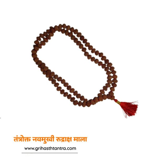 9 mukhi rudraksha mala